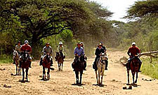Kenya-Masai Mara-Masai Mara Equestrian Safari